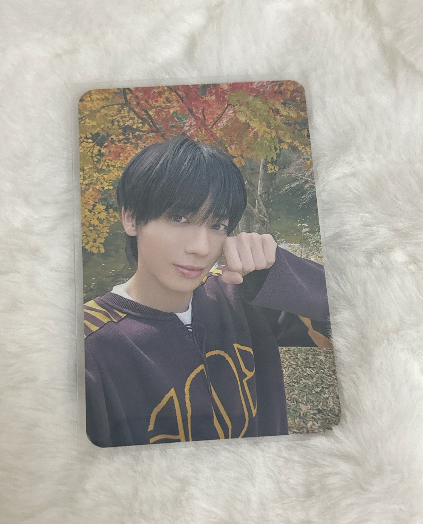 迷七數星星 太顯