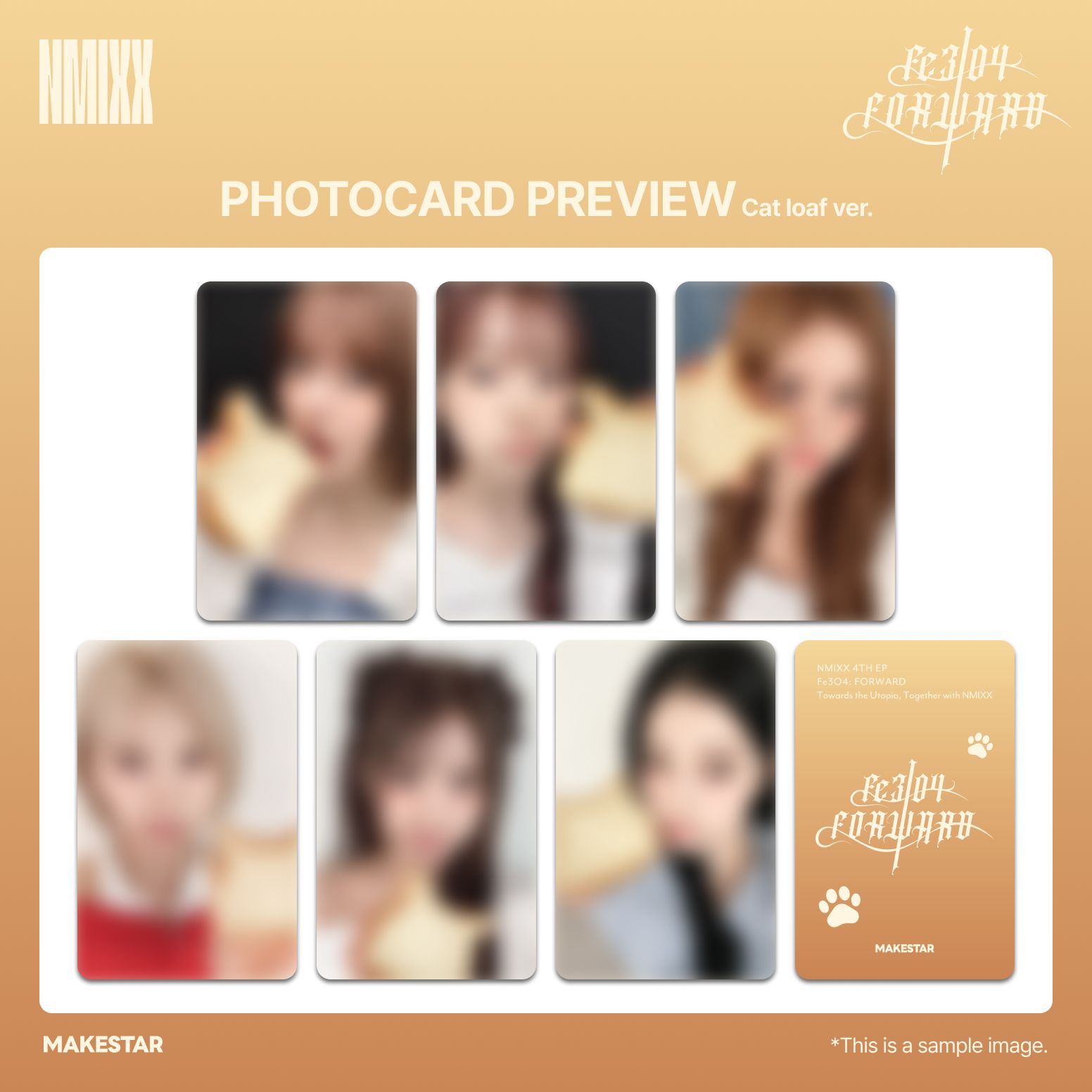 MS 線下 17.0 簽售 貓咪麵包