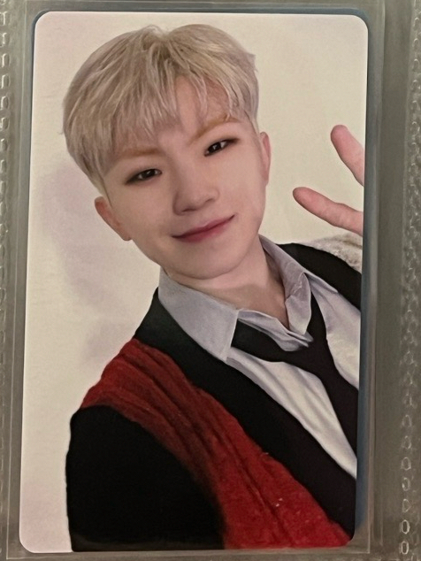 POL 演唱會 DVD / CD 卡 ｜DVD ver.