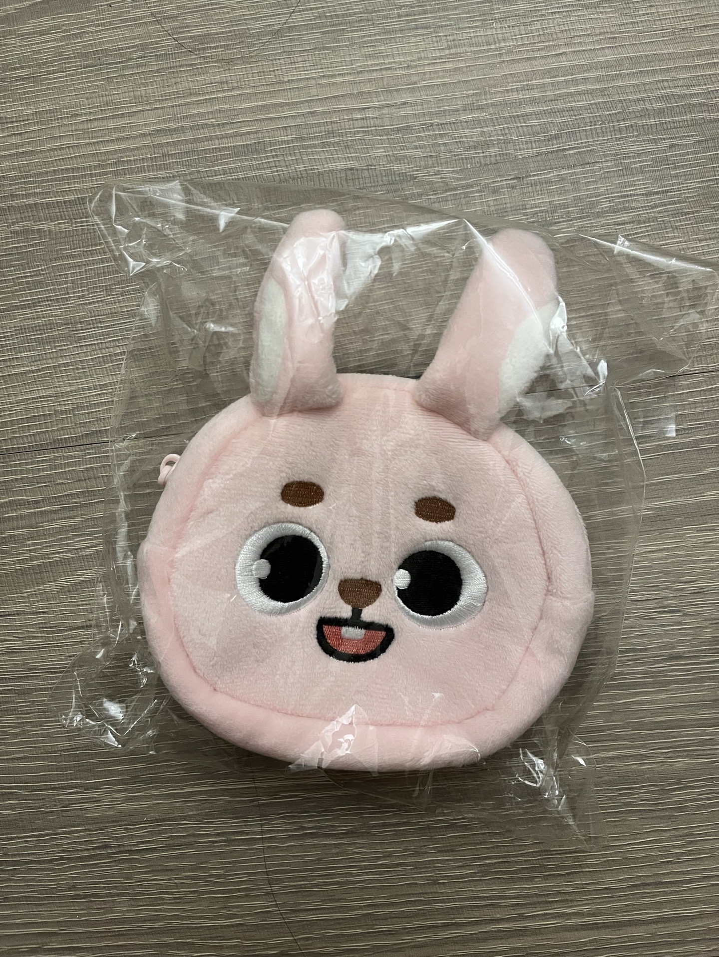 Day6日巡場週 大臉收納包🐰