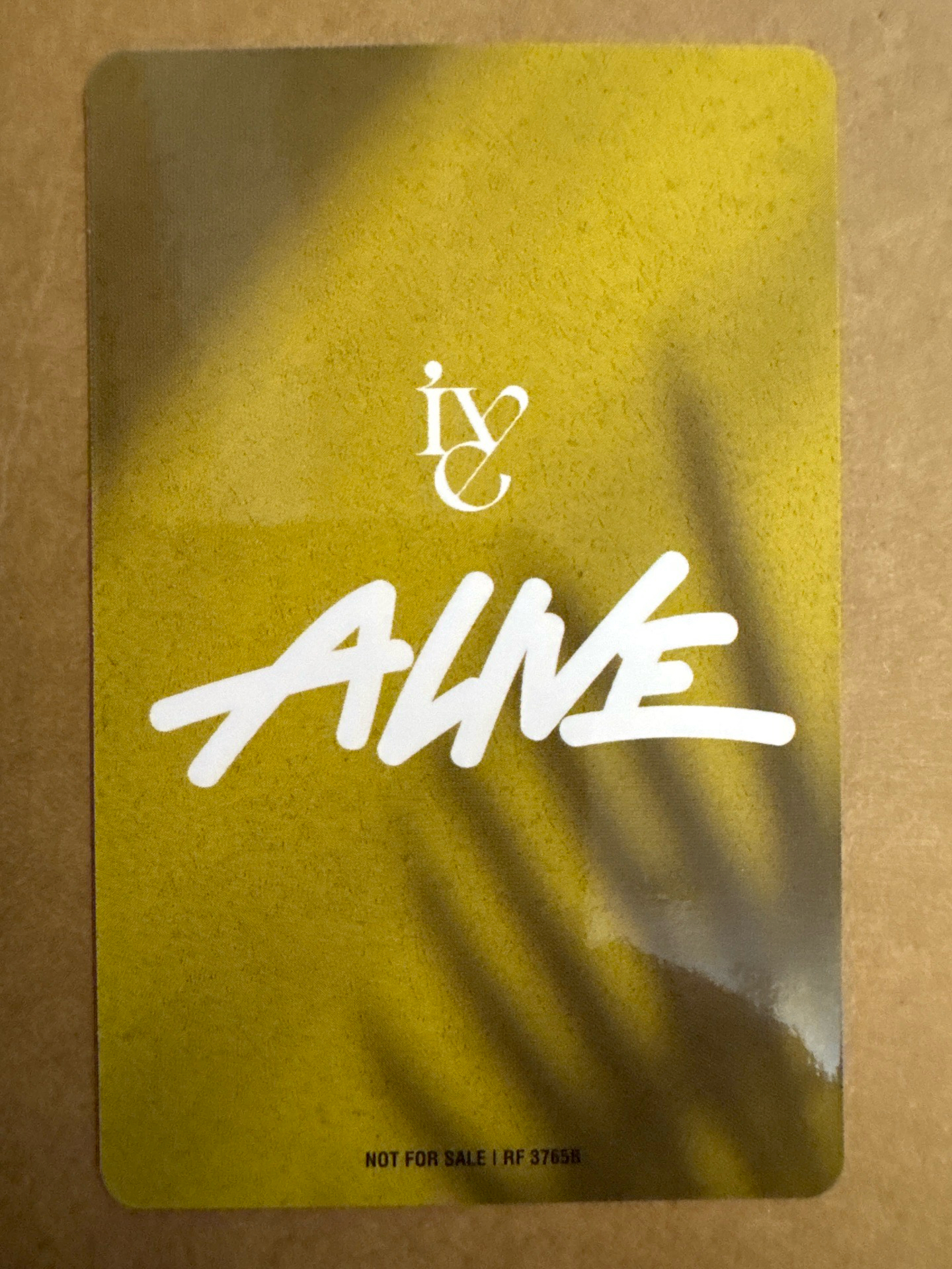 ALIVE 專輯卡 寶可夢秋