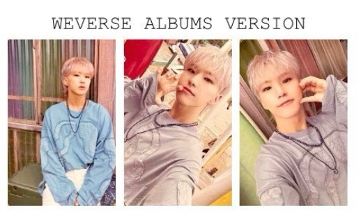 權順榮 mini12 電子專 wvs專 未掃碼