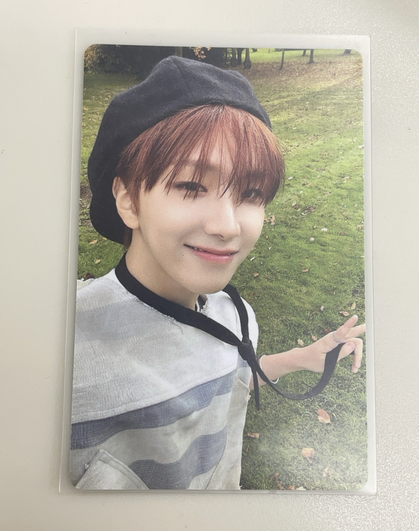 金雲鶴地風火專卡