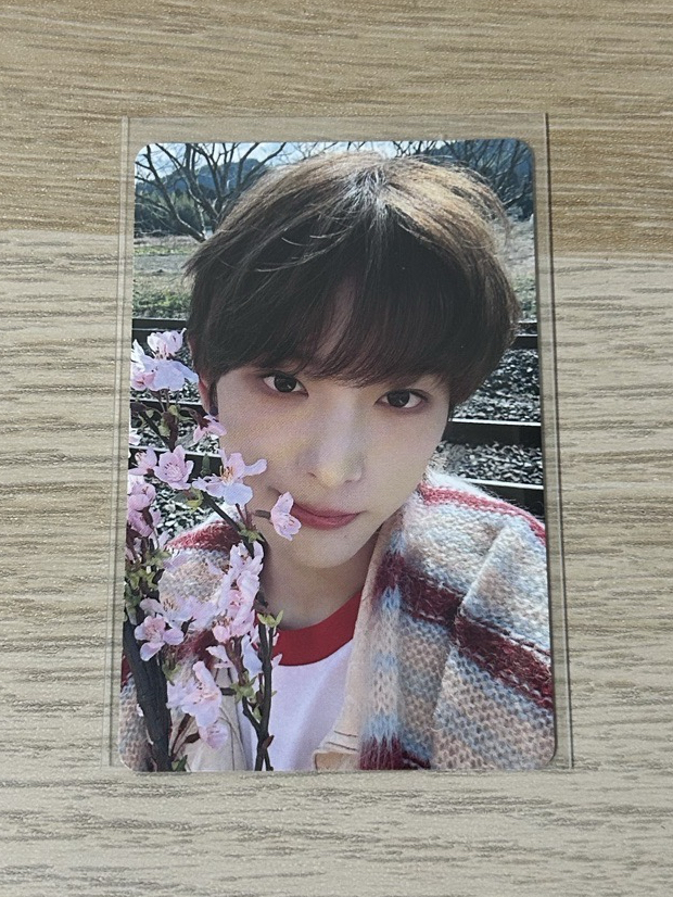 &TEAM HARUA 五月雨 專卡（多帶50）