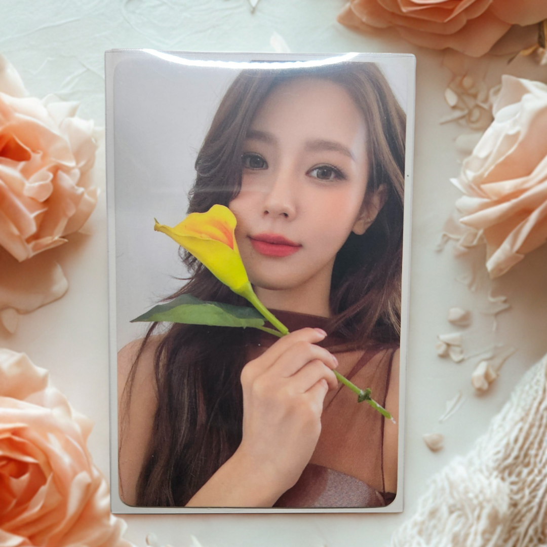 呈仕雜誌 麵雜誌卡