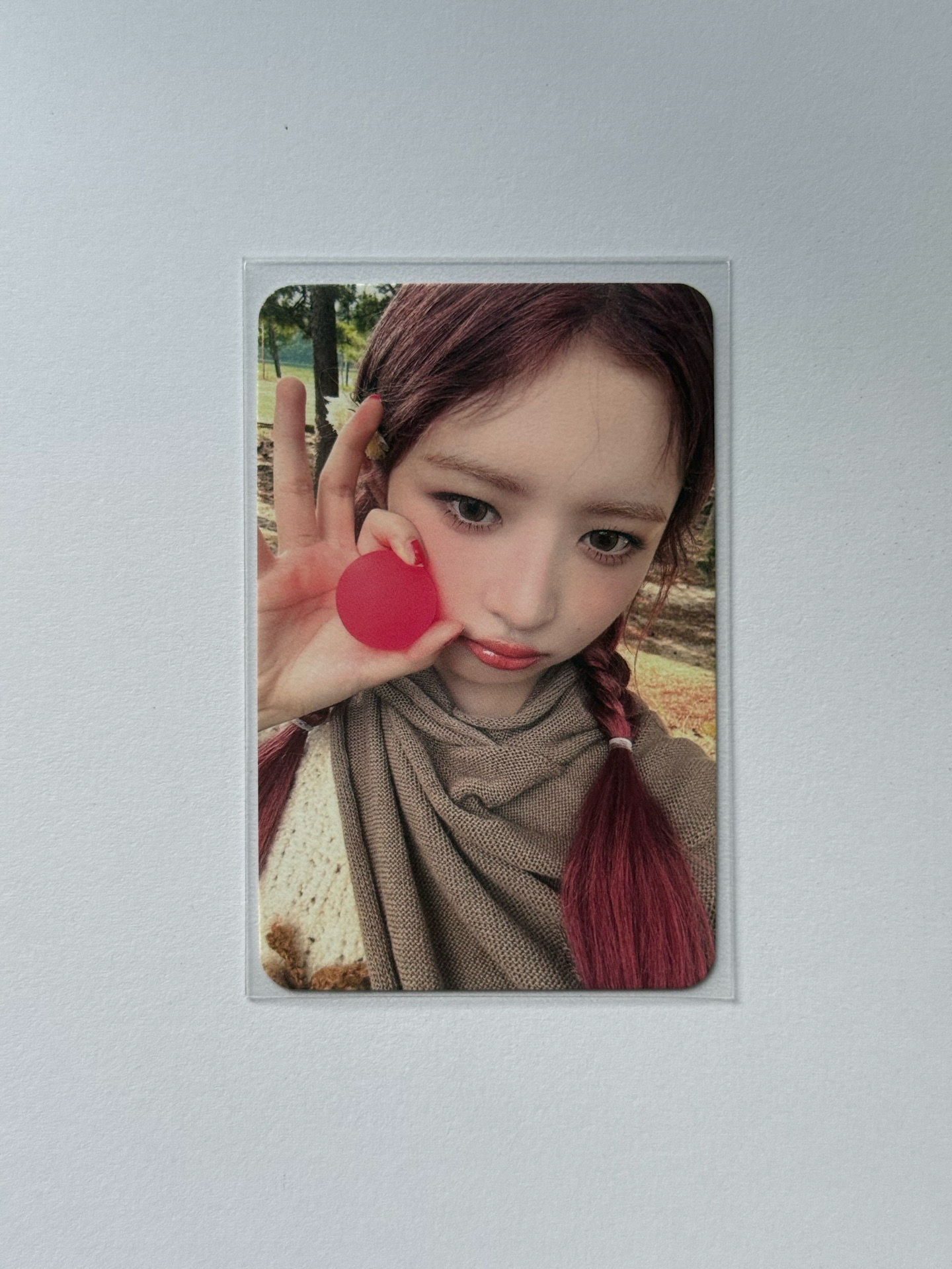 台特怜（台簽怜、中背怜、I’VE MINE)