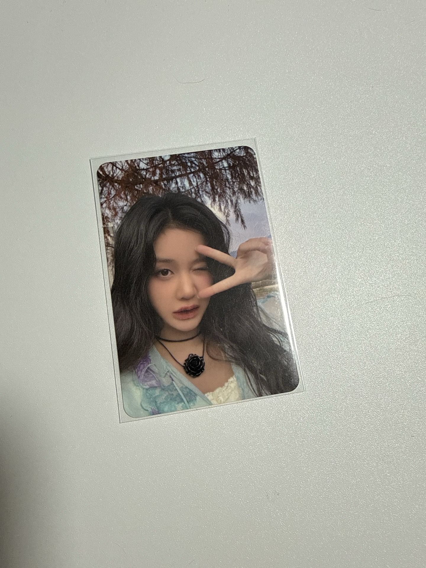 YG一週年線下特典 Pharita