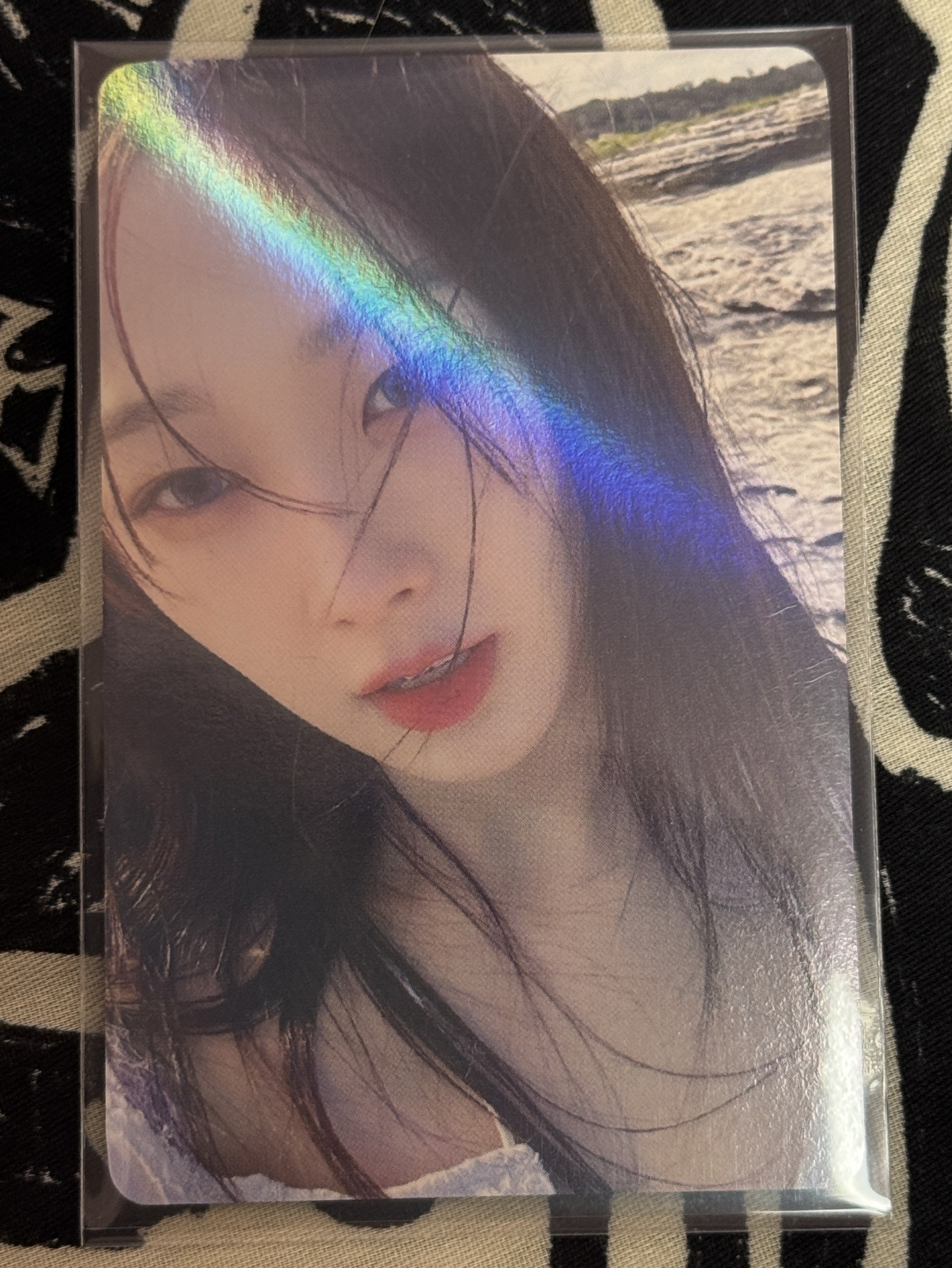 My world ms特典預售吉