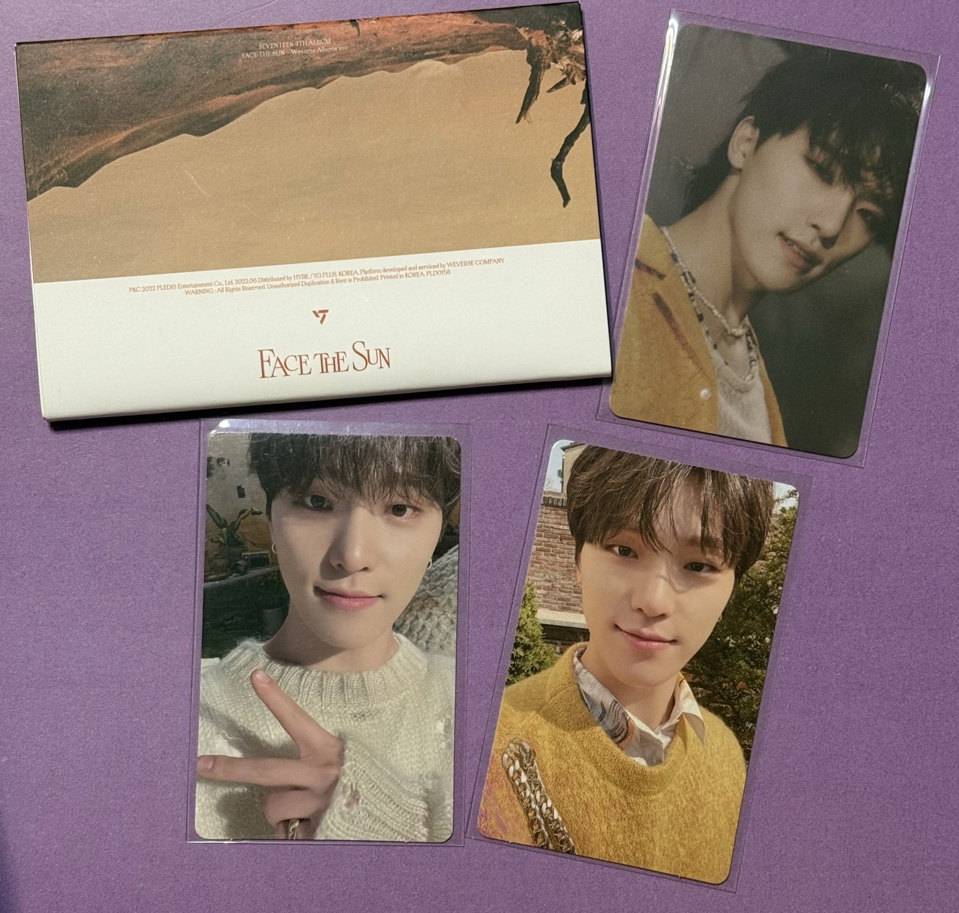 FACE THE SUN 電子專 DINO