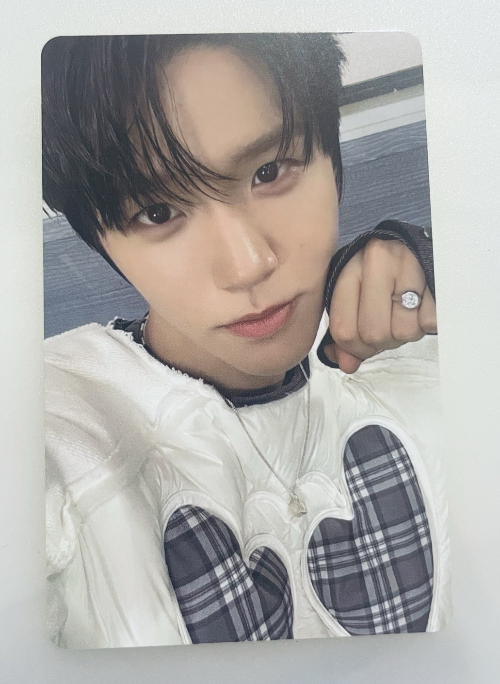 COLOR JC單封 樹專卡