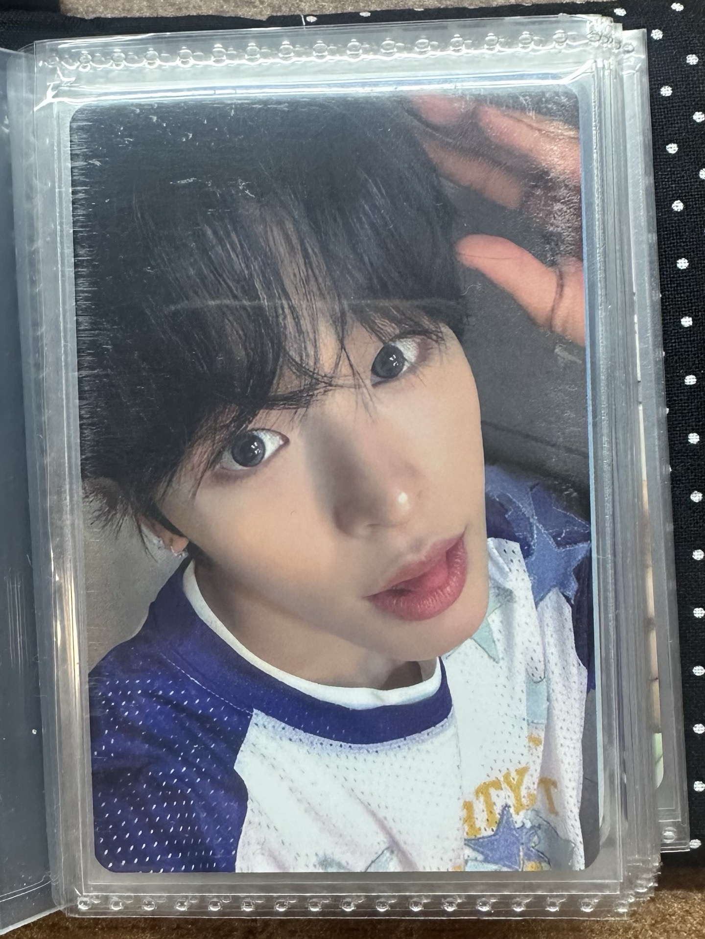 Songbird ma1.0 狗耳陸 Riku