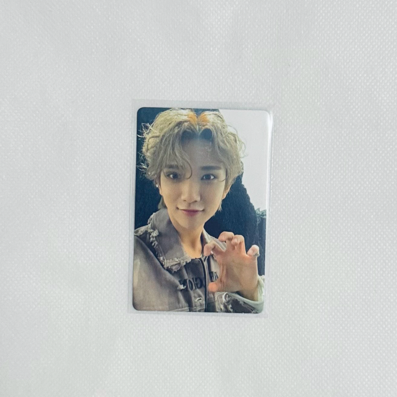 SEVENTEEN 正四 KiT專卡｜知秀🦌