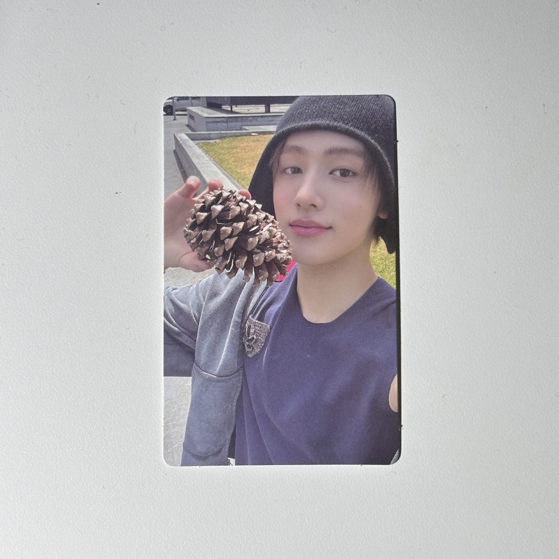 玹 wvs 預售特典