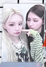 華納 分隊卡 特典卡 姐弟