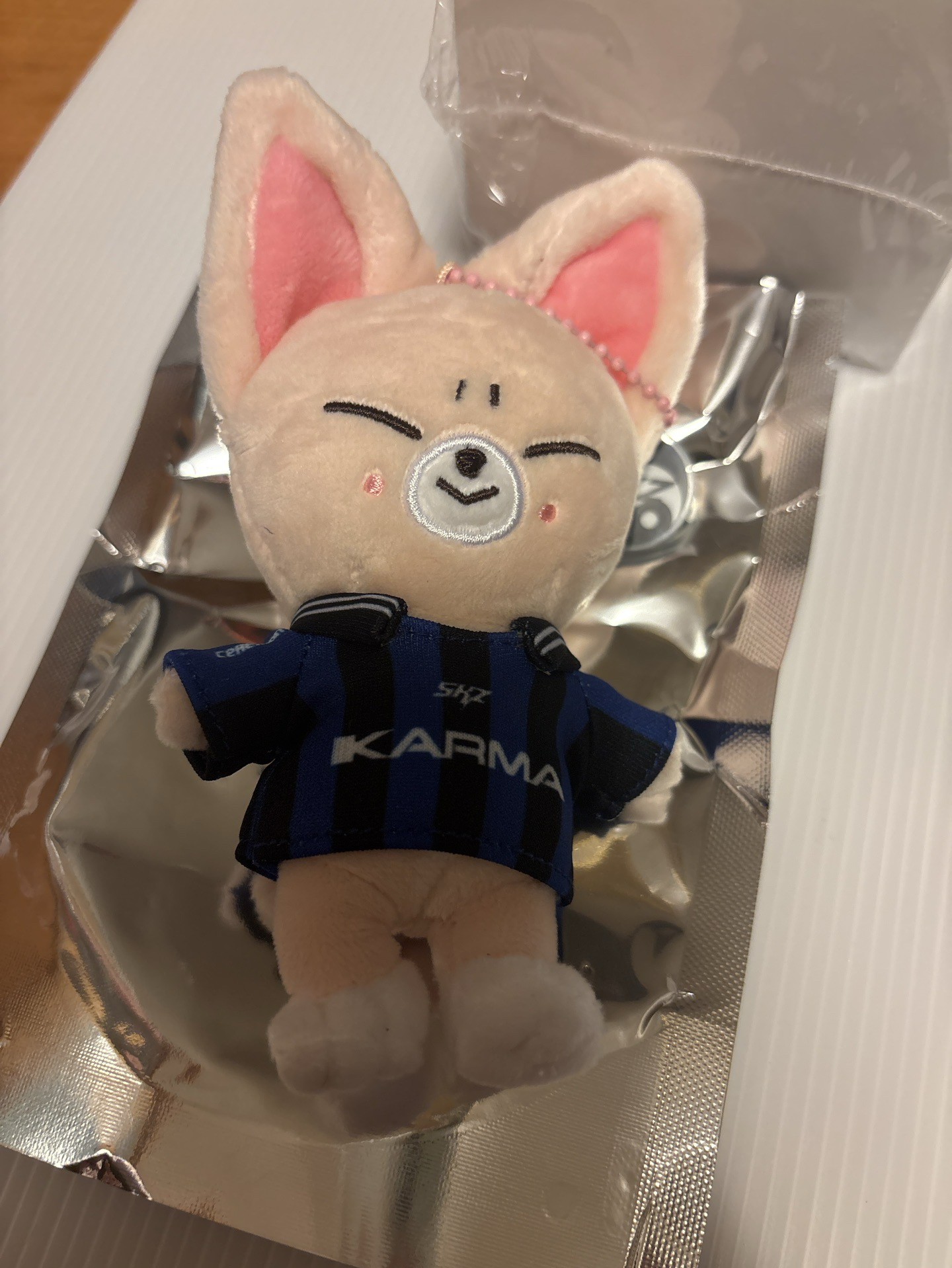 KARMA電子專寅娃