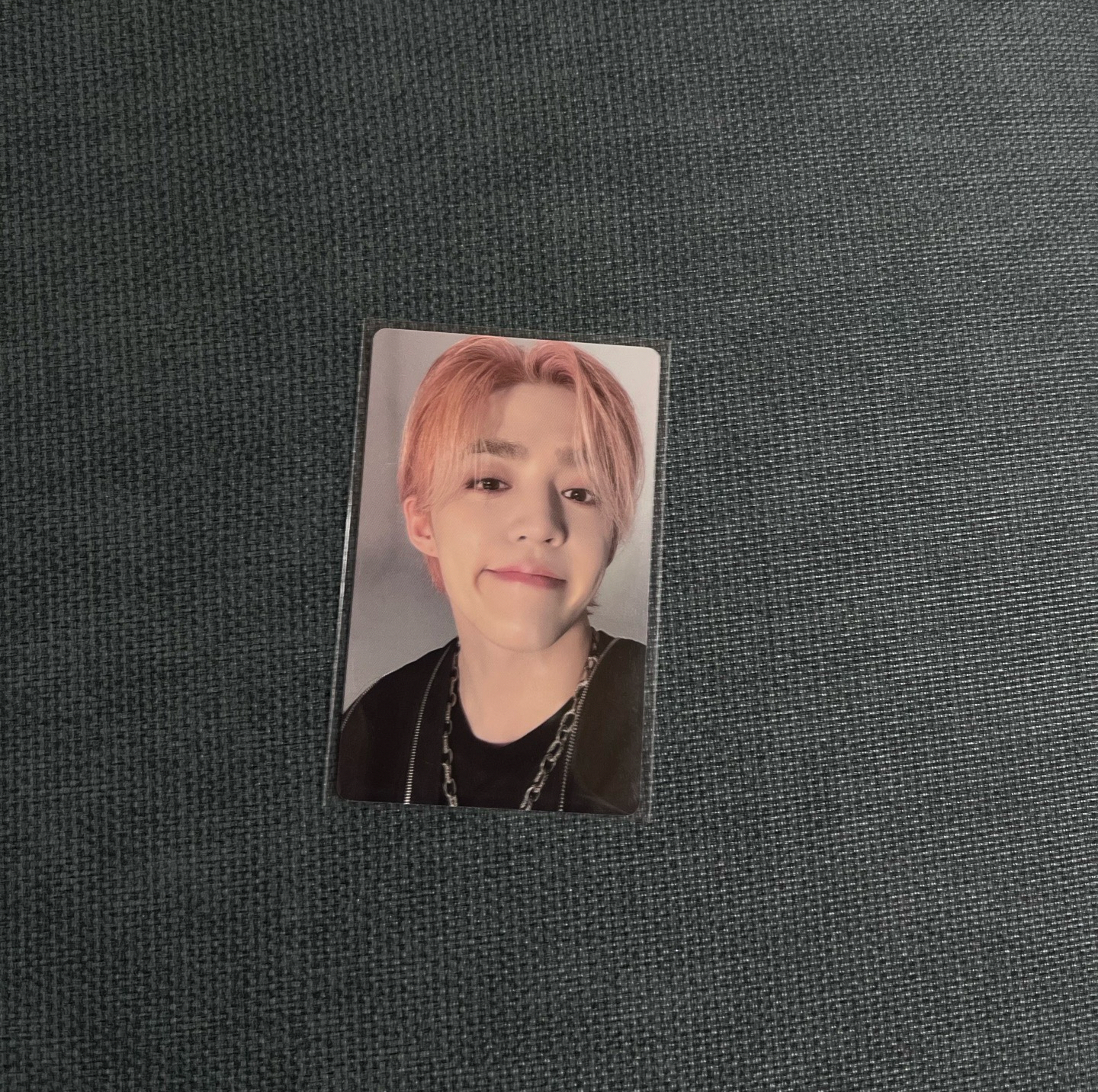 mini12 wvs 特典+簽售卡哲