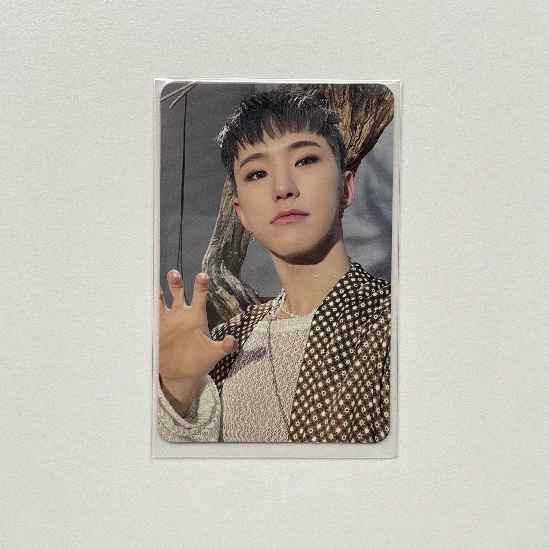 SEVENTEEN HOSHI 正四專卡