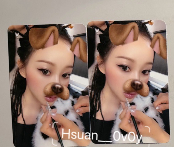 吉他專 吉狗狗卡