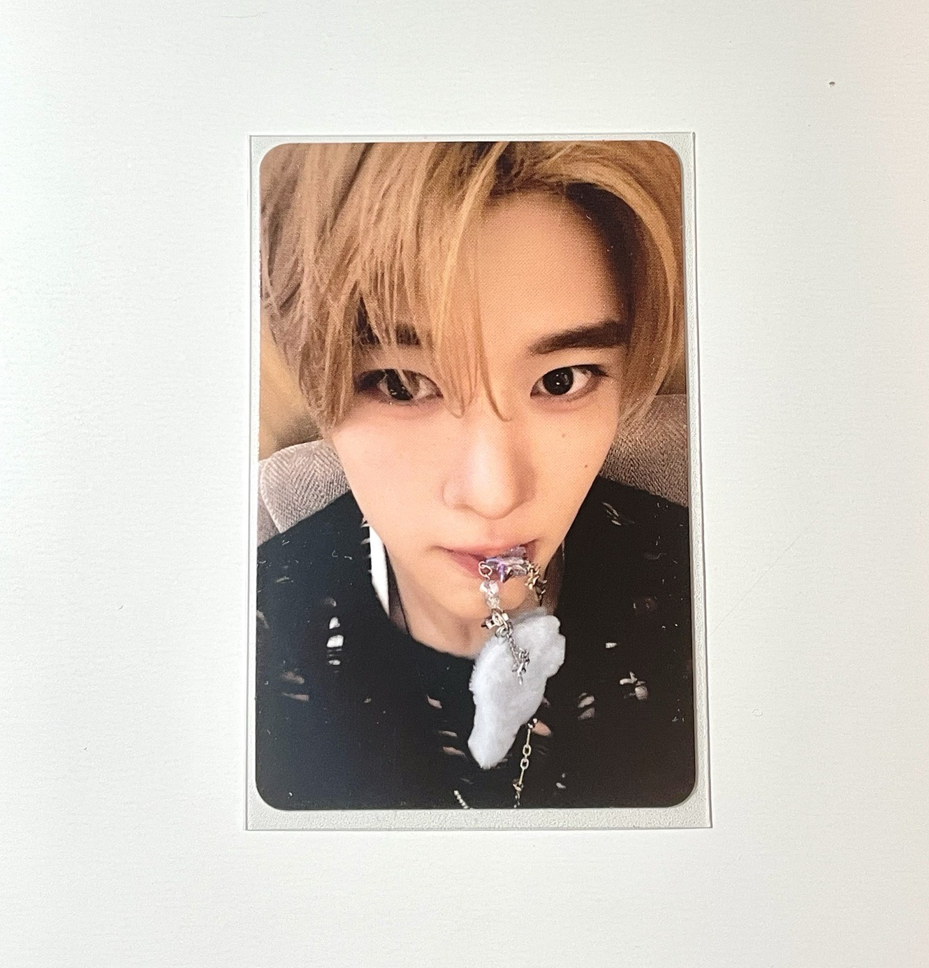 夏日展會翅膀卡🐰