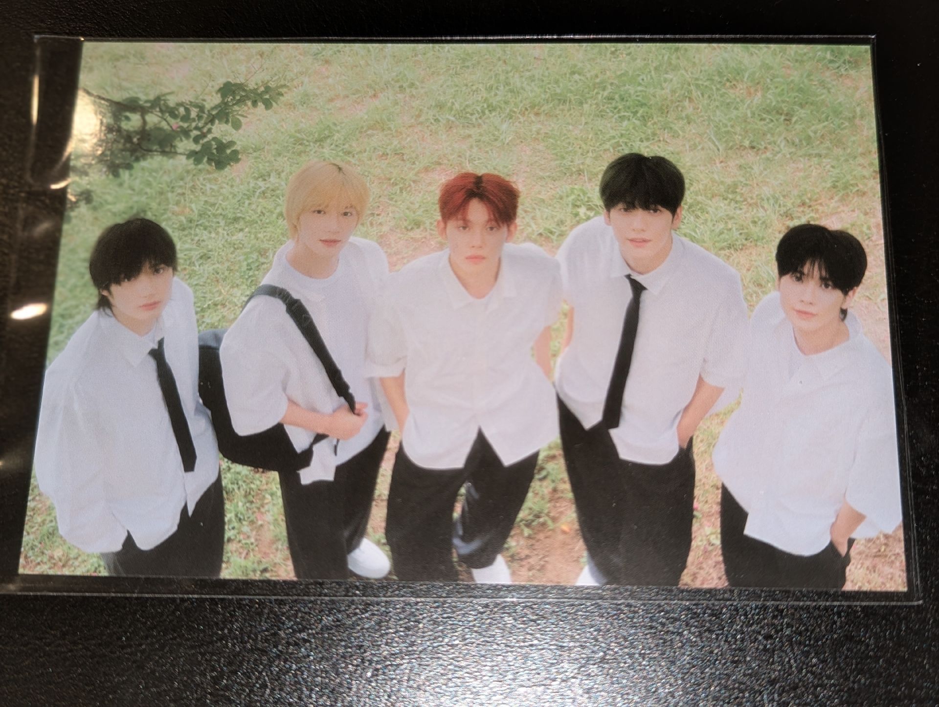 2025會員禮明信片