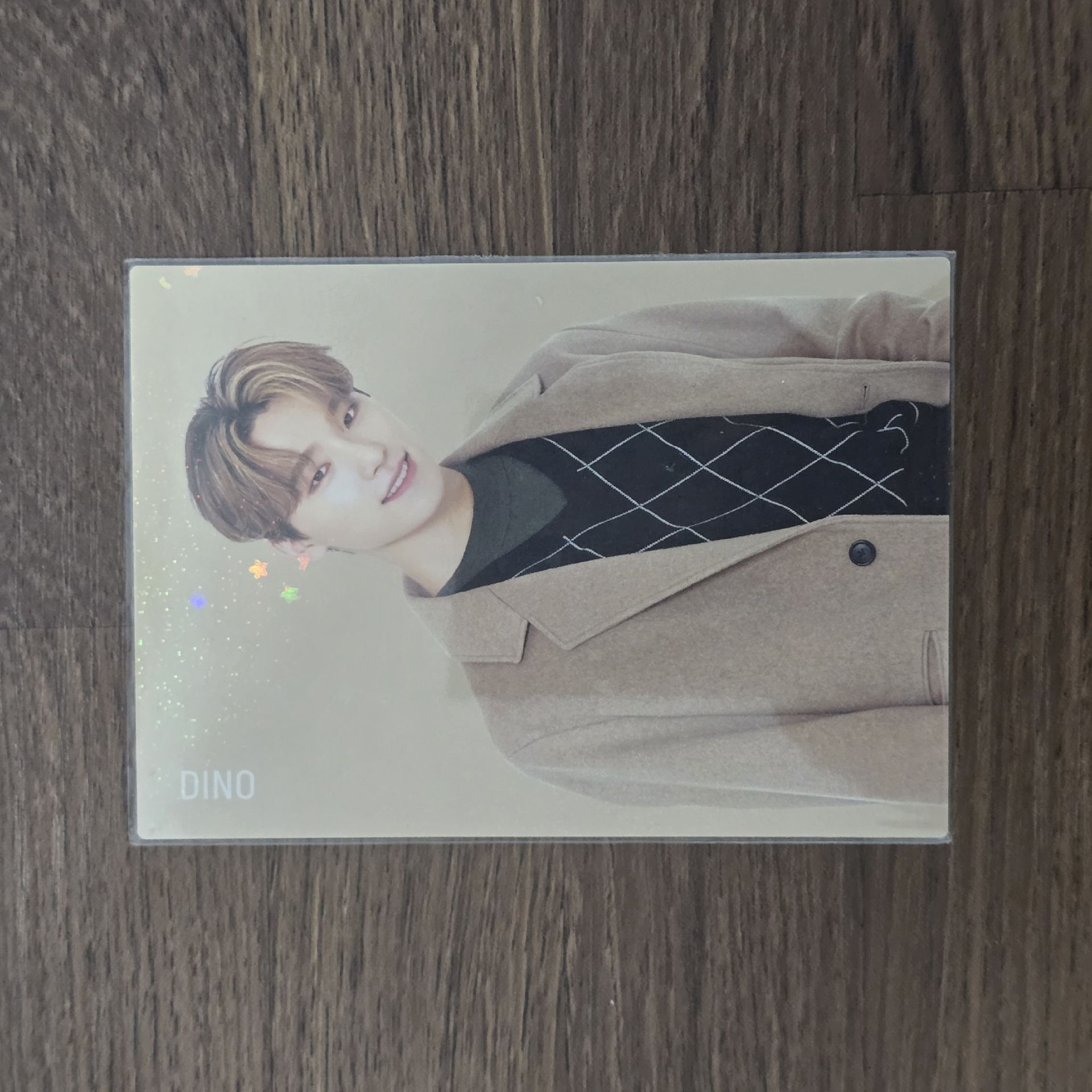 SEVENTEEN Dino 2020 WINTER 日本 卡包卡