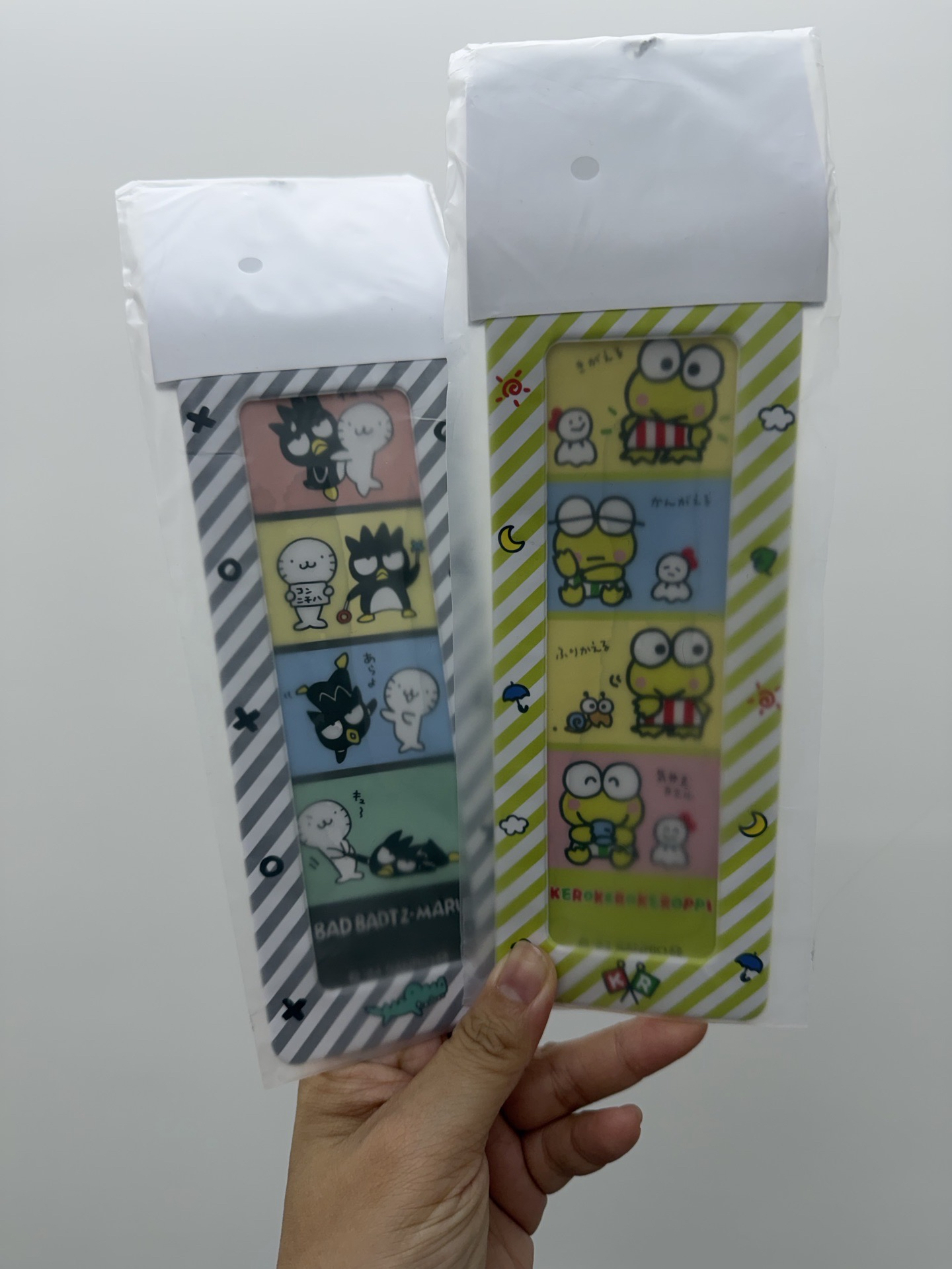 人生四格卡套（酷企鵝、大眼蛙）