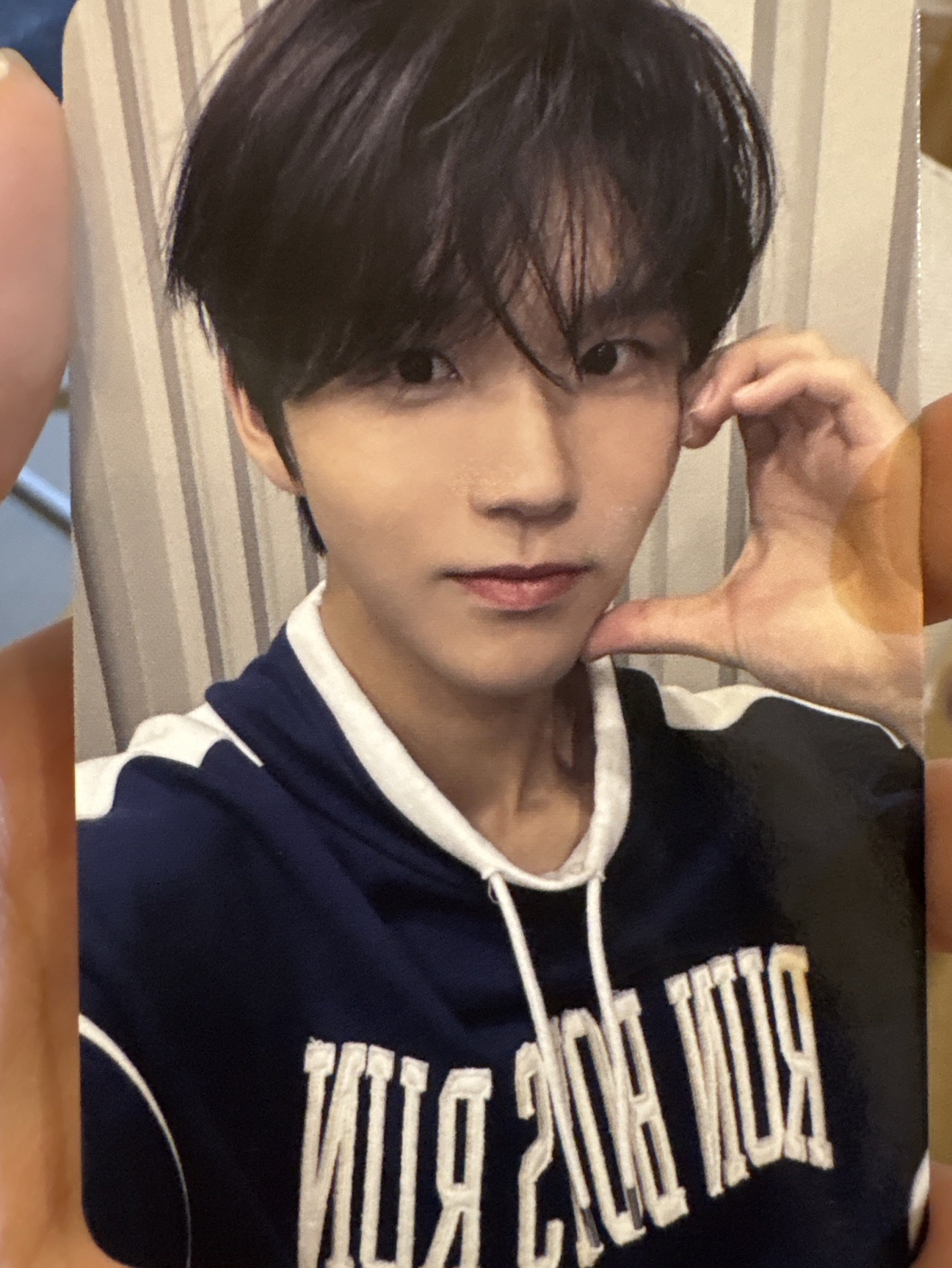 steady br2.0 金栽禧