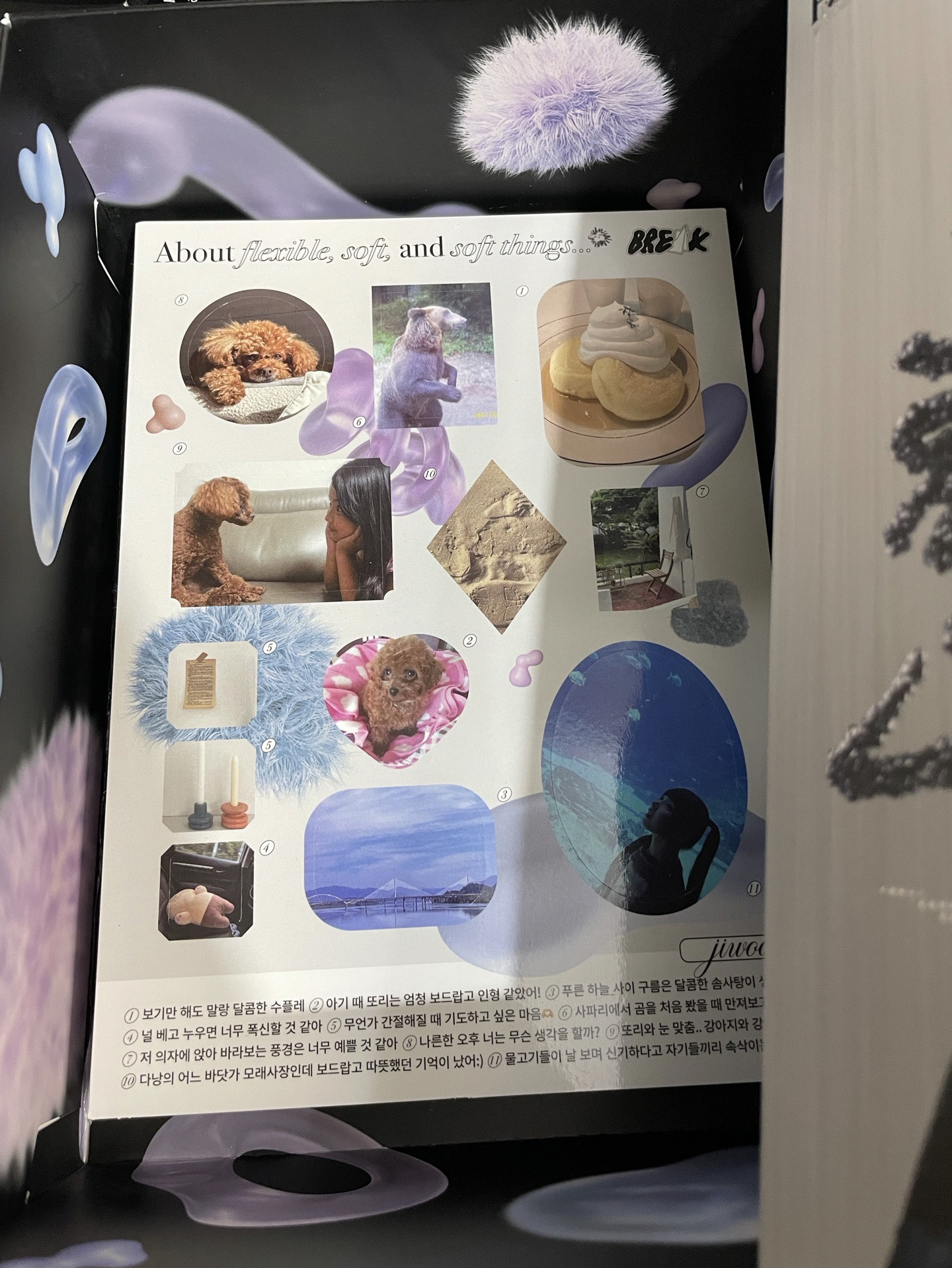 限量專（不含水母）