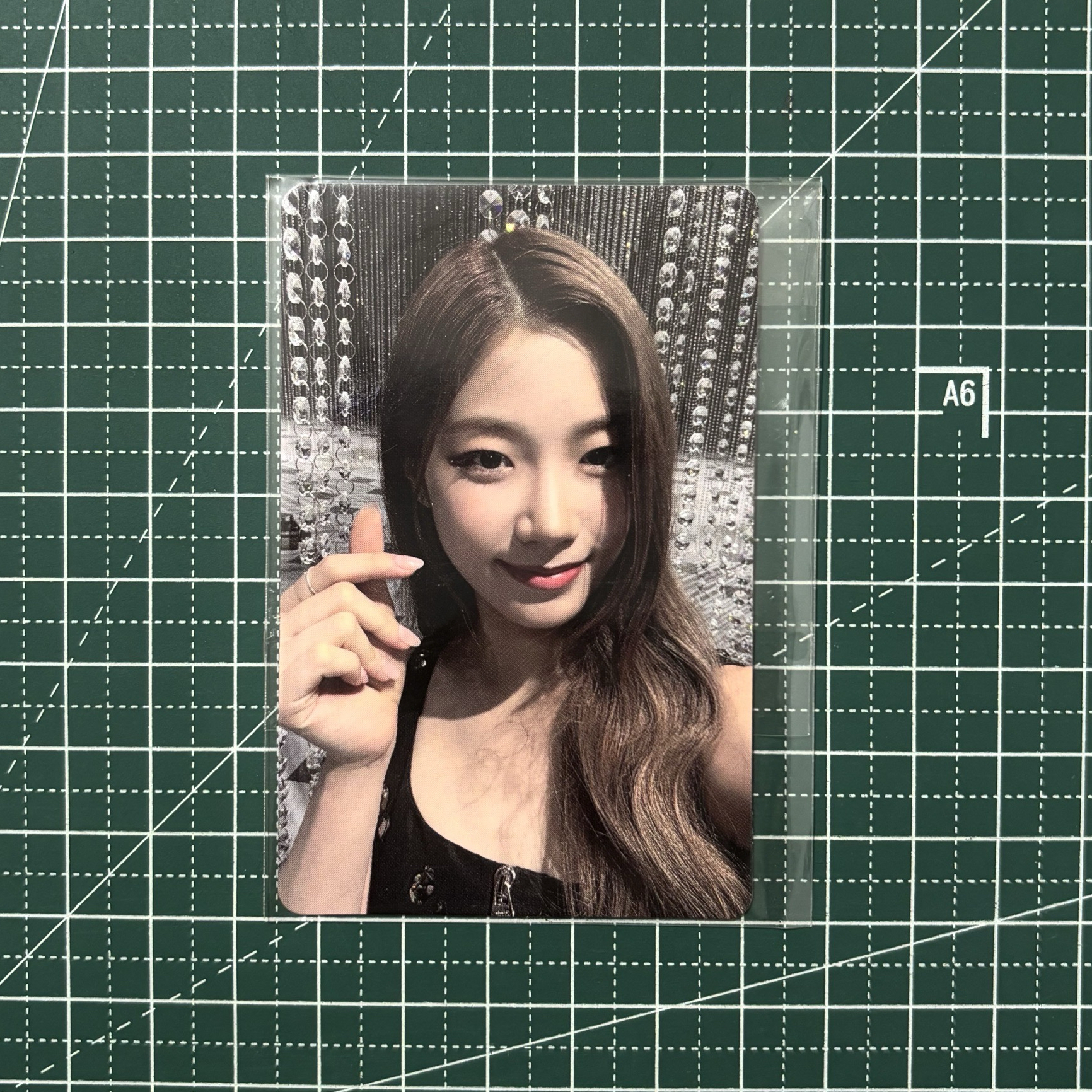 𓊆 泰蝦葉 𓊇