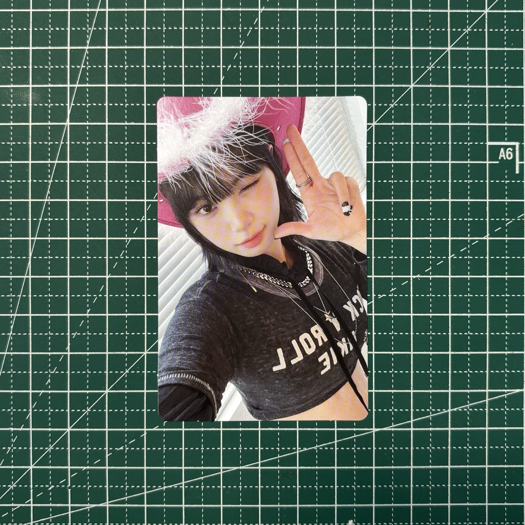 𓊆 無赦專卡 𓊇