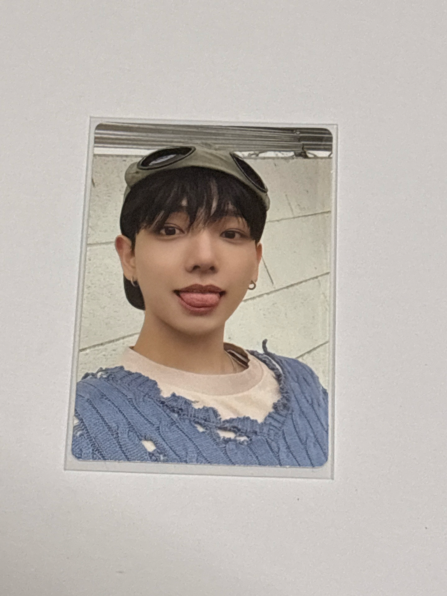 🔵吐舌小狗🐶