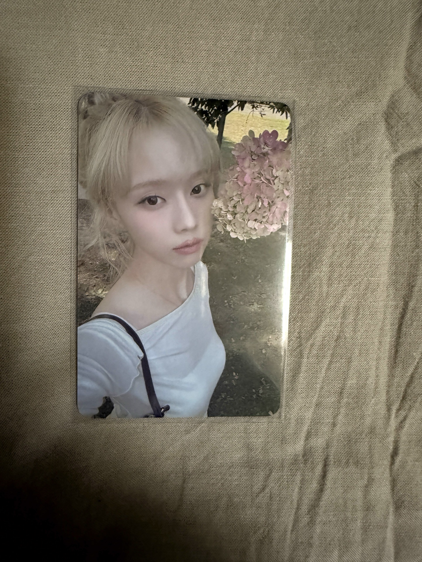 whiplash sm幸運卡冬