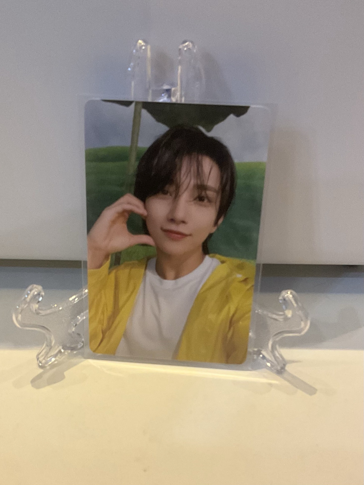 迷11克拉盤專卡2