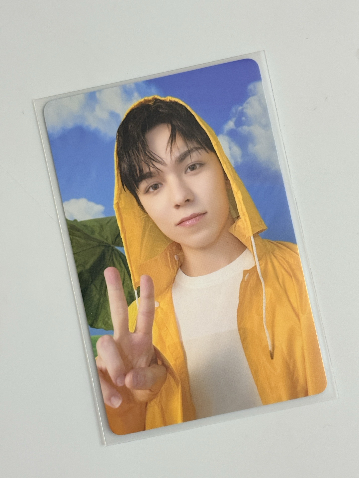 迷你11 克拉盤隨機卡 率