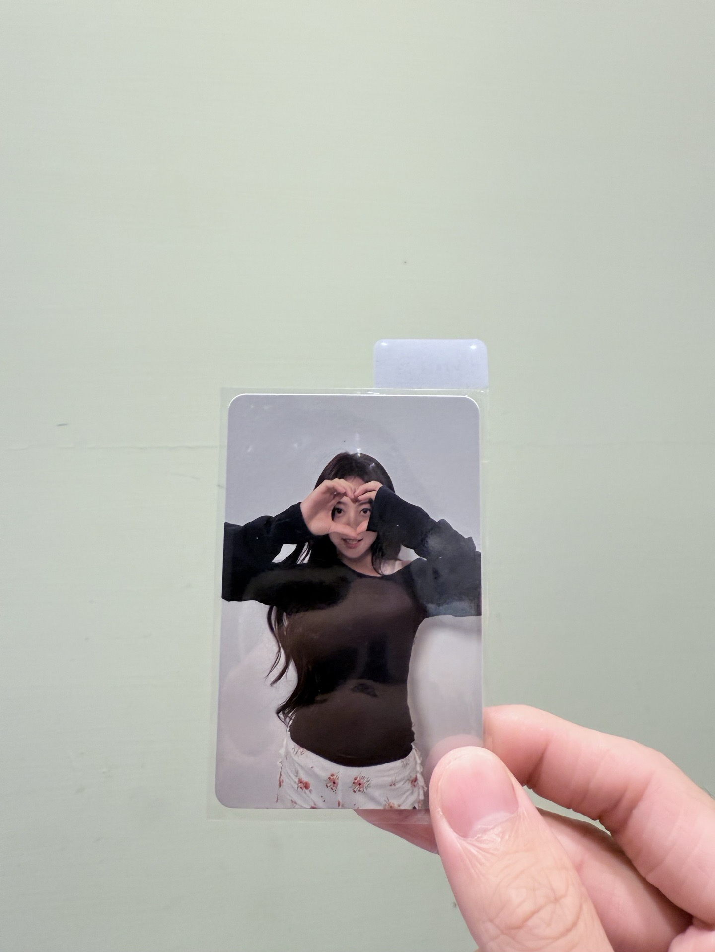 志效 strategy 專卡