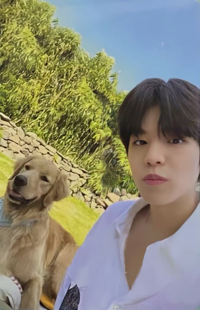 濟州島玟 狗次方3.0狗不理狗（含綁價）