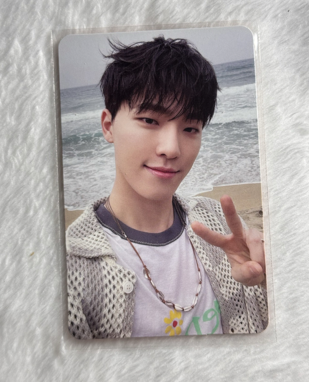 MINI12 專輯卡 ｜FEEL YOU ver. Dino