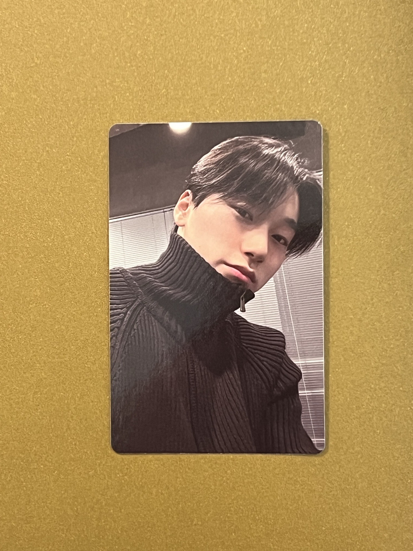 IYF limited Ed. 公文專：傘