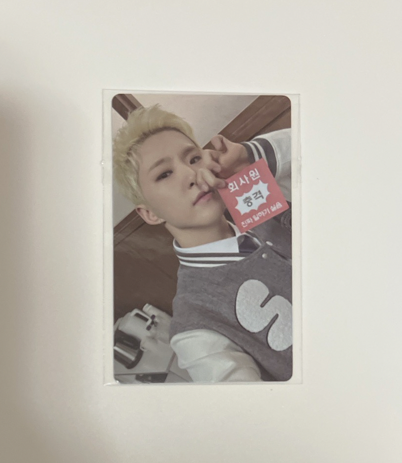 SEVENTEEN BSS WVS LD HOSHI