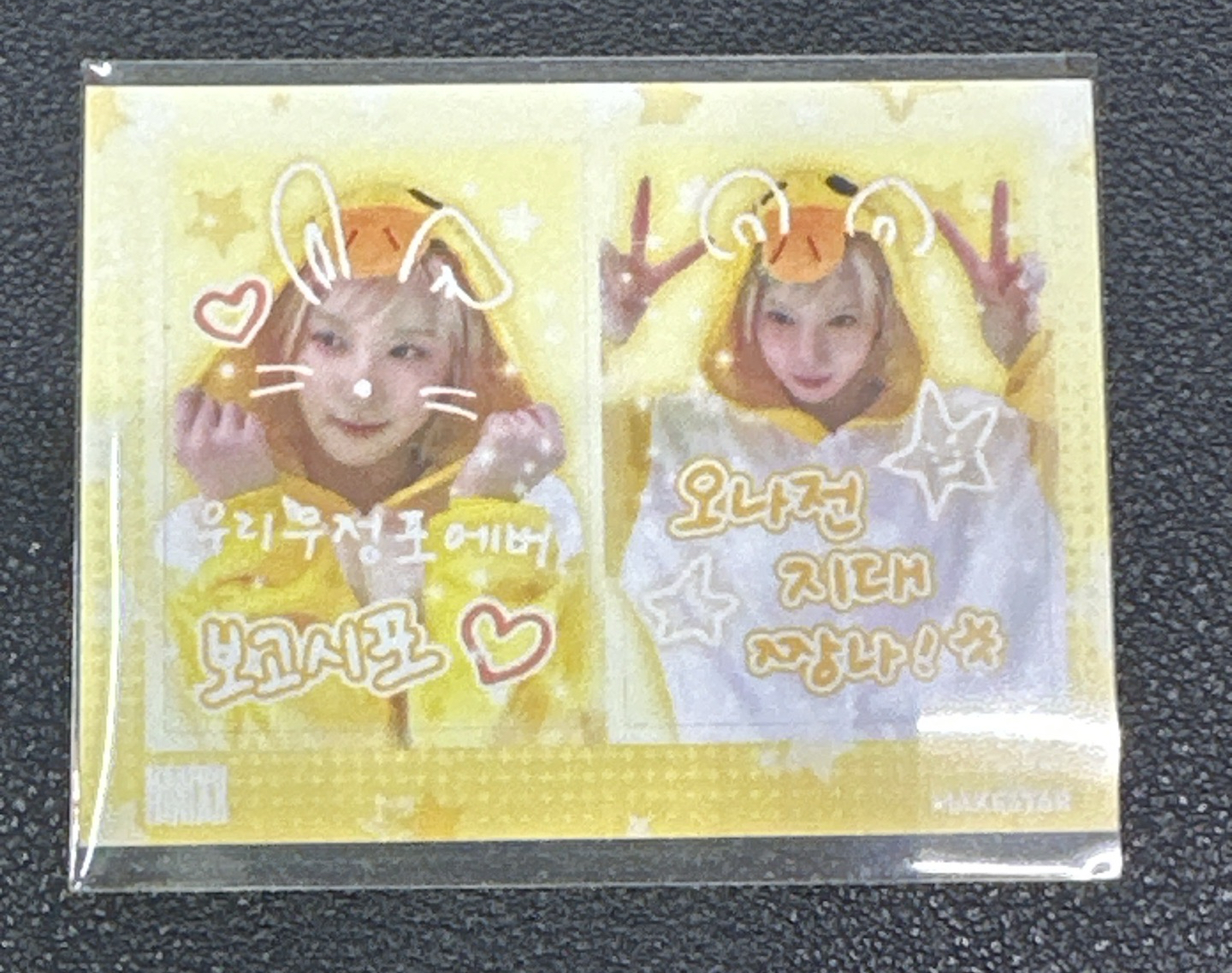 NMIXX BAE 動物 2格照貼紙