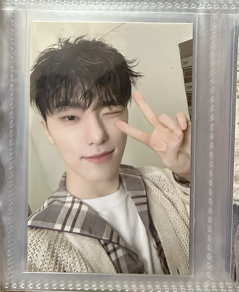 24克拉島 襯衫卡 燦