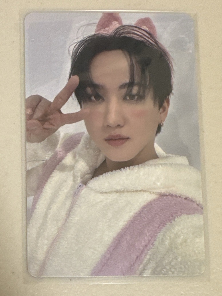 Hollow 靜岡線上限定塔店