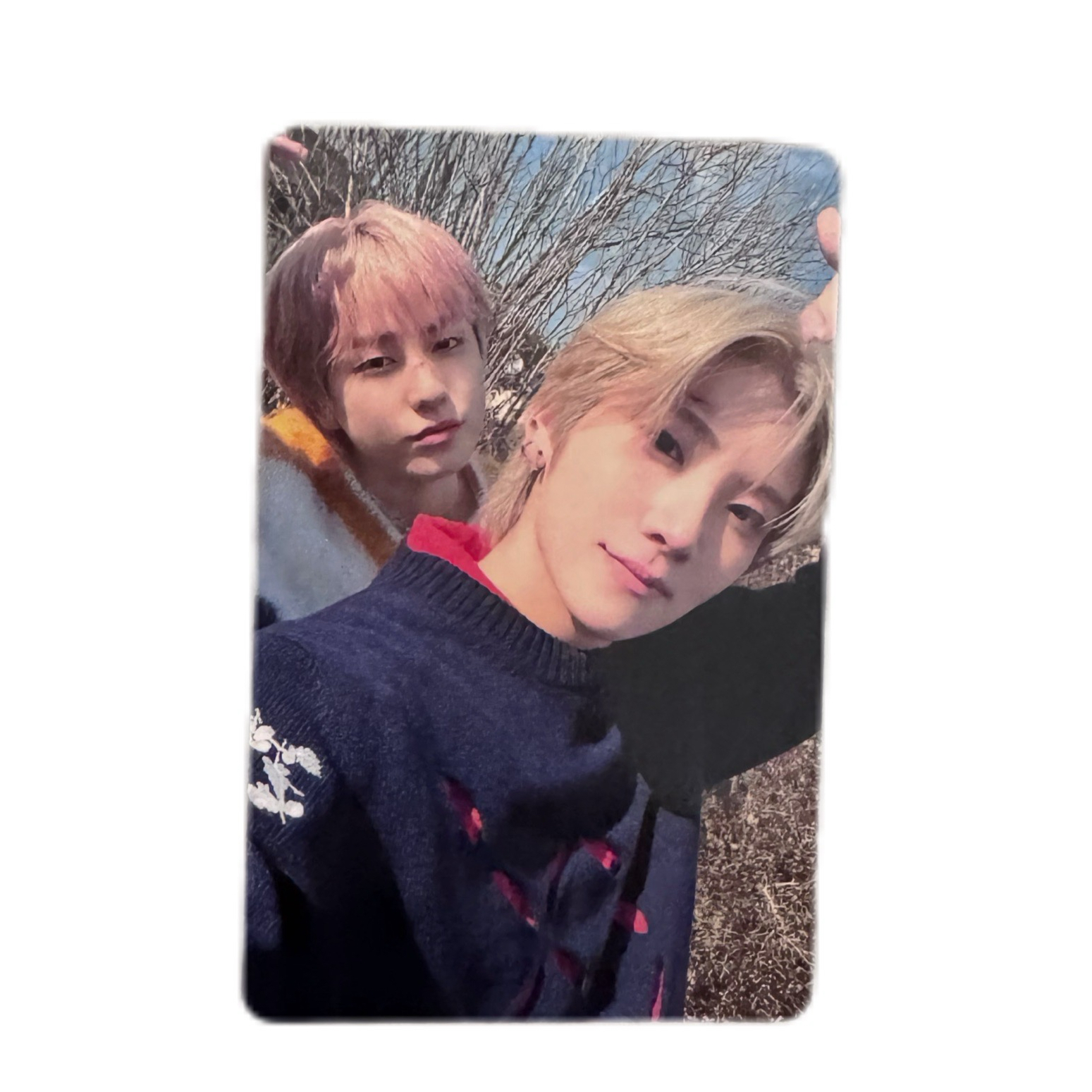 五月雨塔悠cp卡