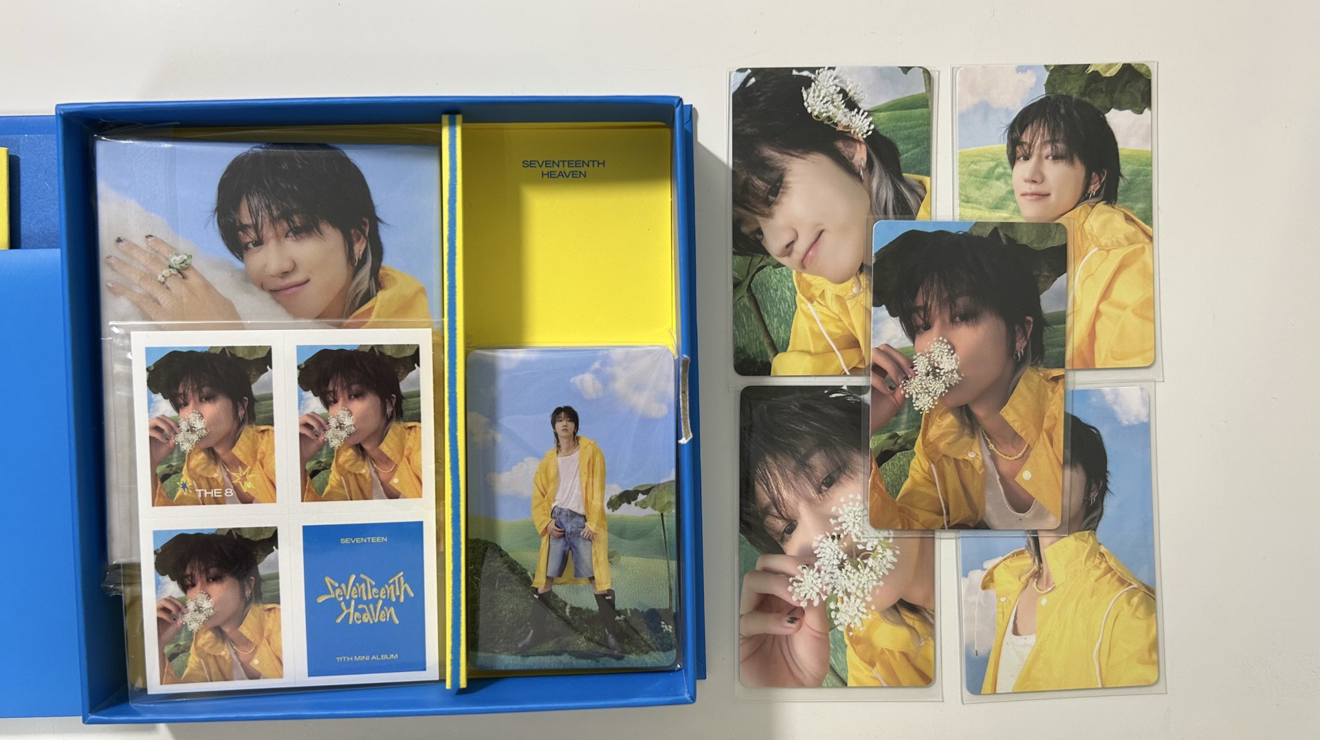 💎 迷11 克拉盤八（含特典）