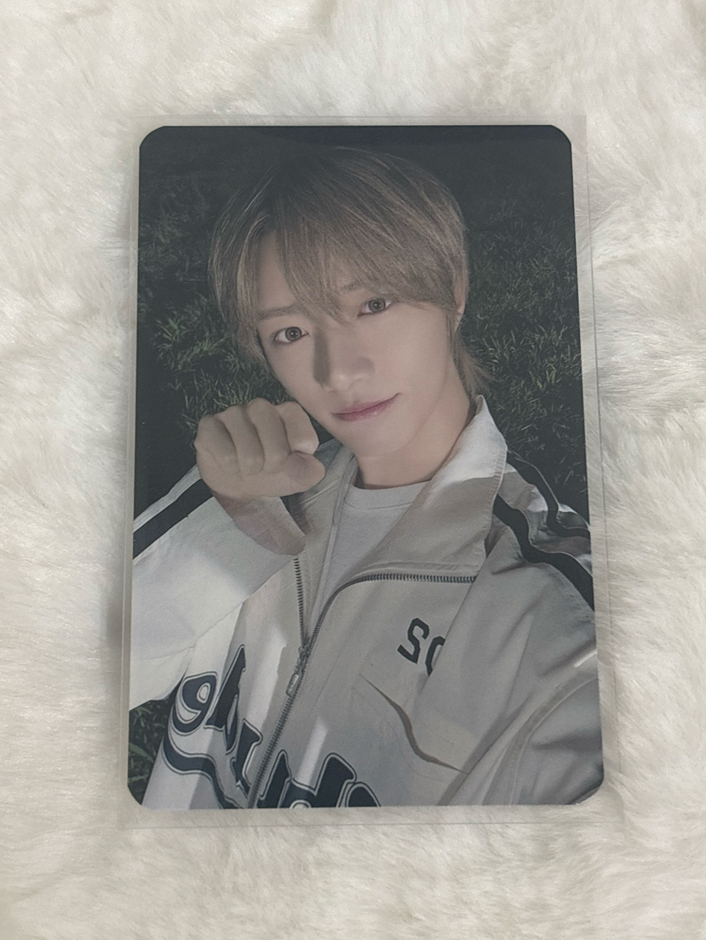 迷七數星星 杋圭