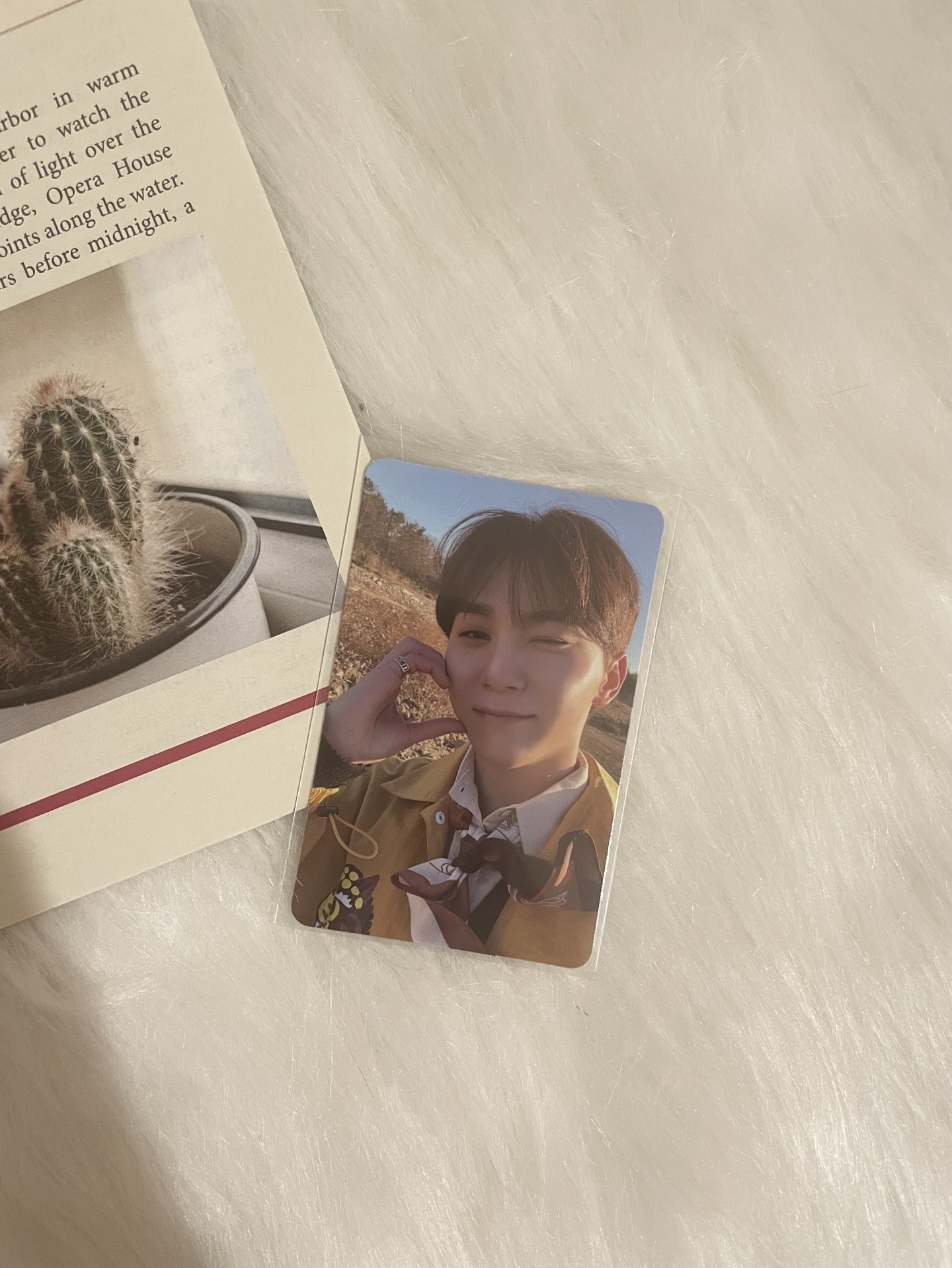 【SVT】正四專輯卡