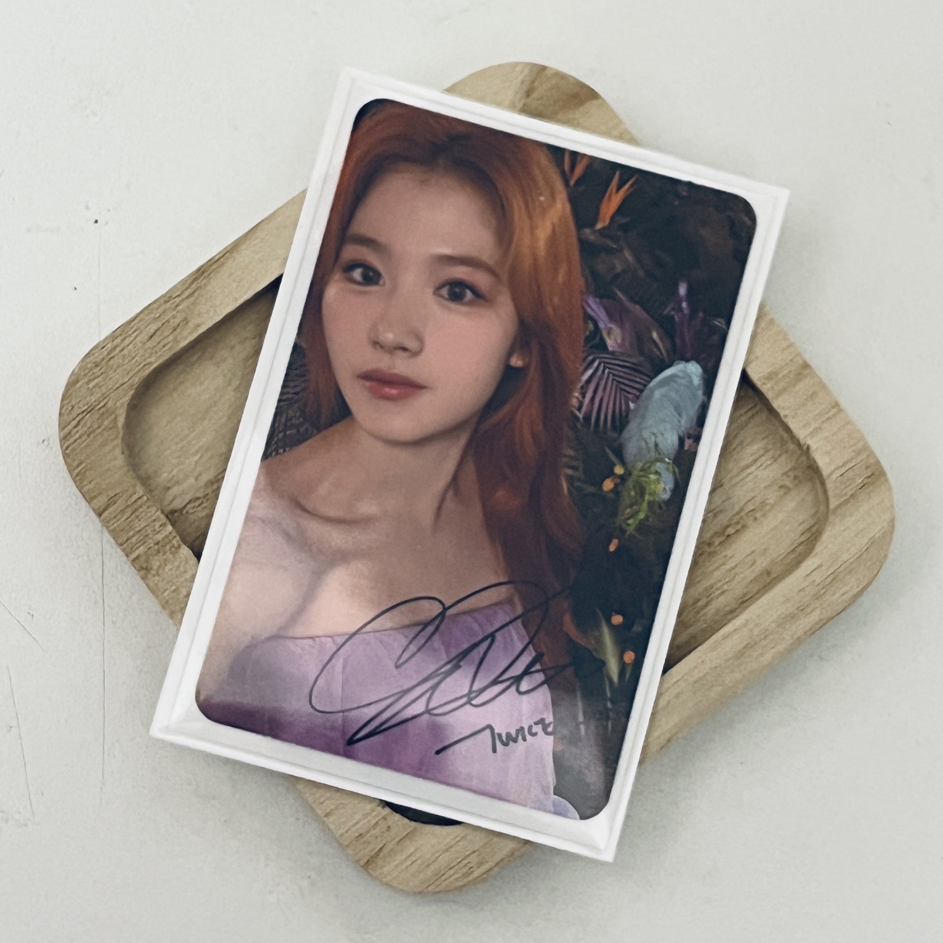 🎀｜TWICE 專卡集結