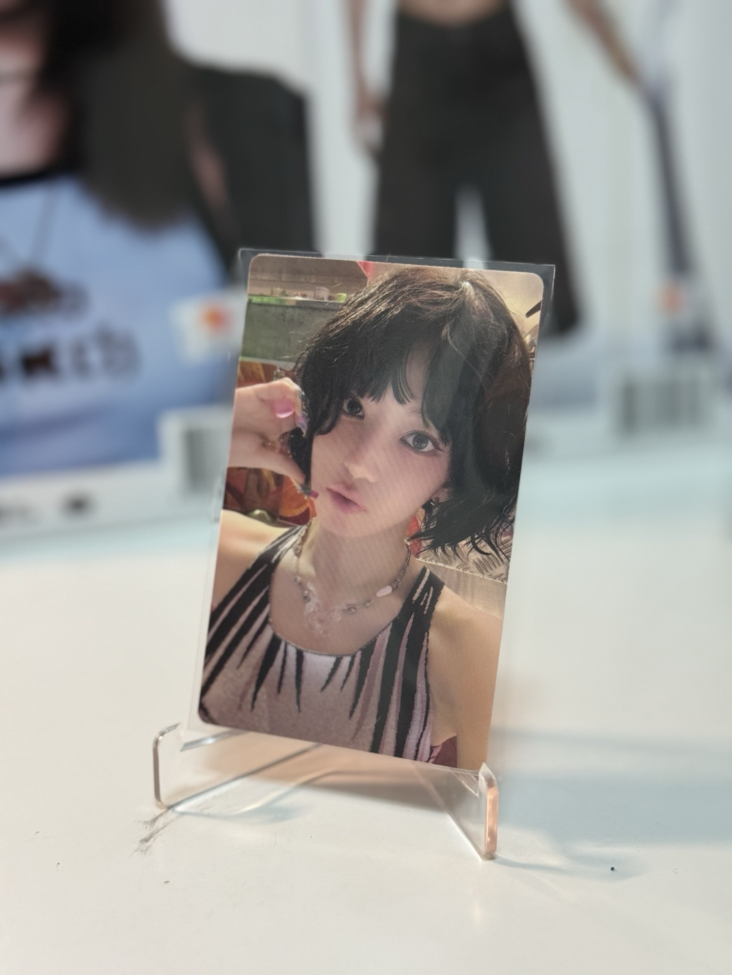 🌟現貨🌟WVS預售櫻+同造型磁鐵