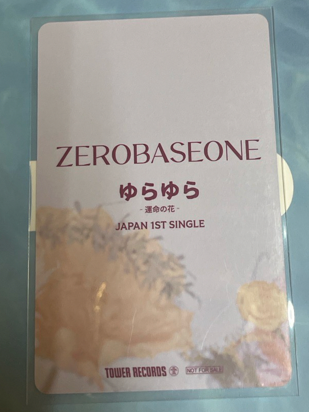 在花花的世界遨遊🌼