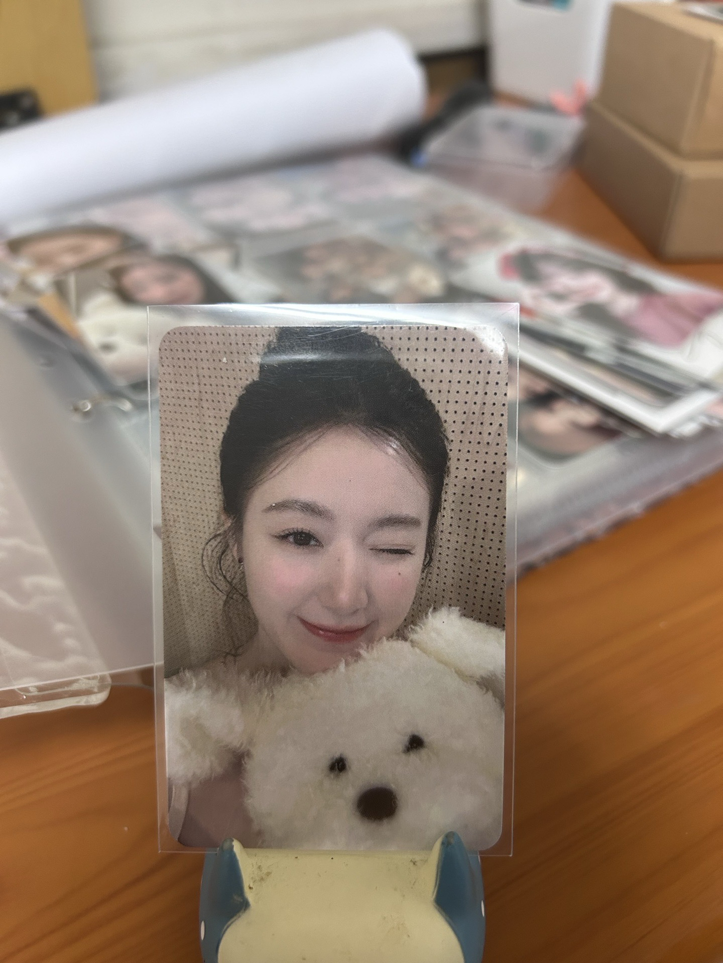 （捆250）迷八 hl 2.0 狗狗刷（來源Hs)